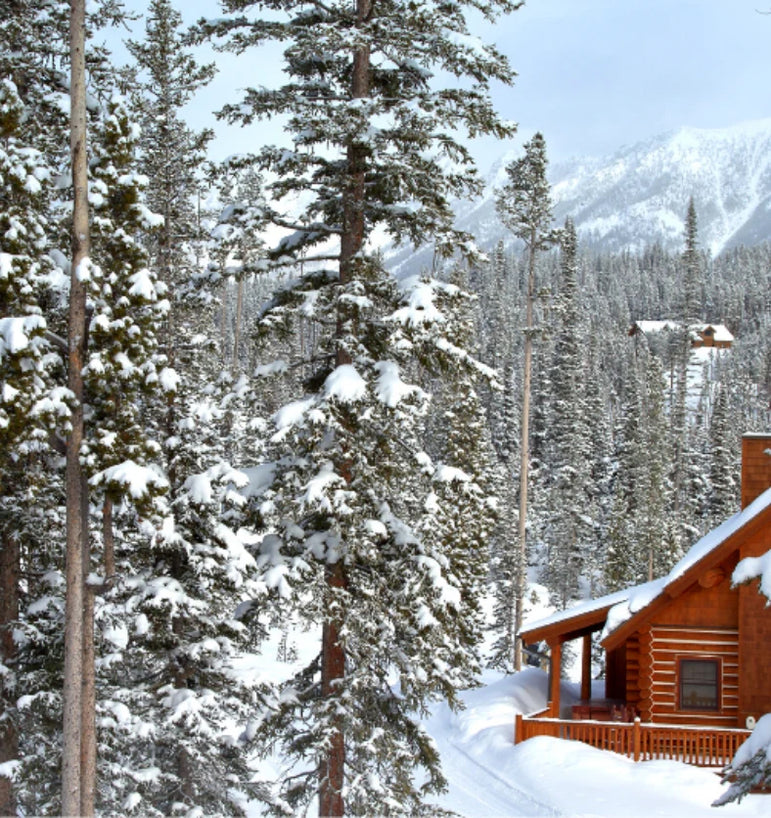 Mountain scene with snow covered evergreen trees with a small wood cabin.