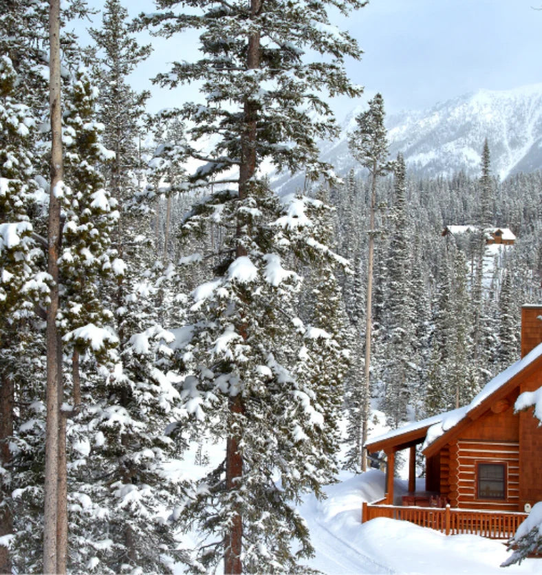 Mountain scene with snow covered evergreen trees with a small wood cabin.