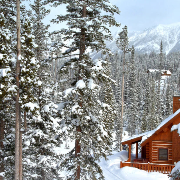 Mountain scene with snow covered evergreen trees with a small wood cabin.