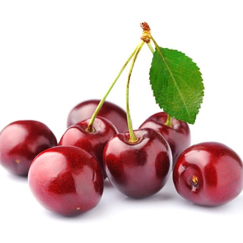 Bunch of cherries with a green leaf on a white background