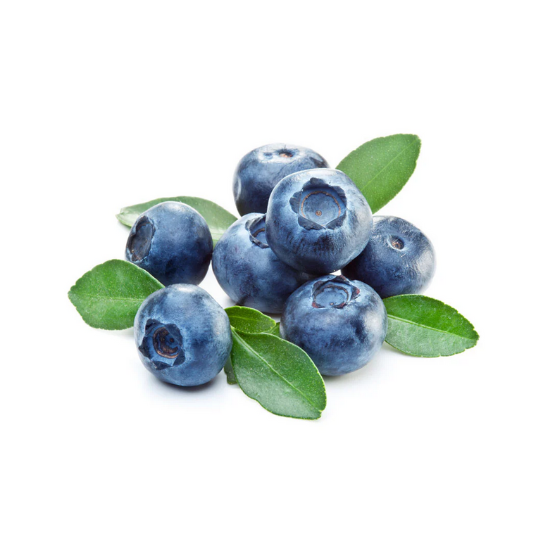 Blueberries with green leaves on a white background