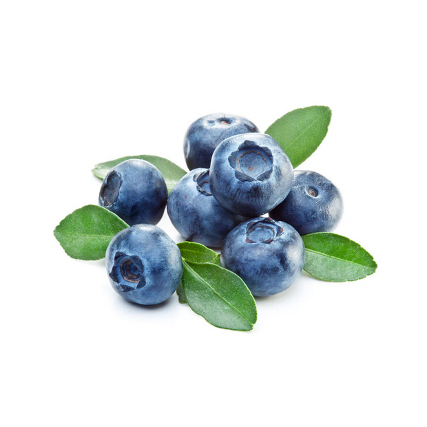 Blueberries with green leaves on a white background
