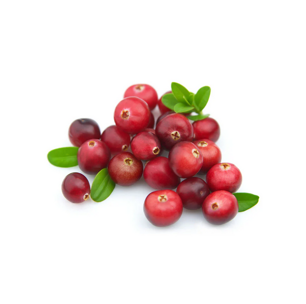 Cranberries with green leaves on a white background
