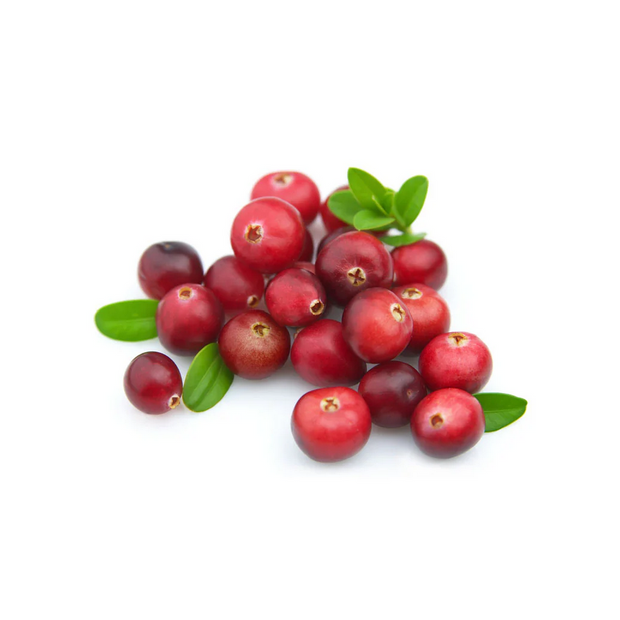 Cranberries with green leaves on a white background