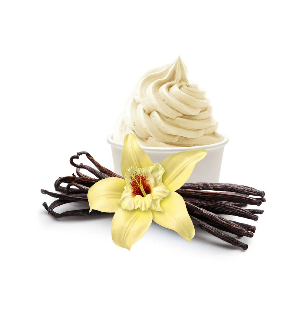 Vanilla ice cream with vanilla beans and a vanilla flower on a white background