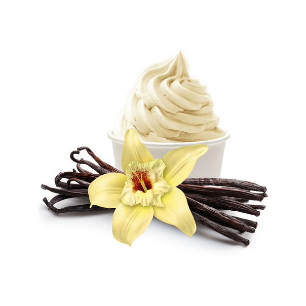Vanilla ice cream with vanilla beans and a vanilla flower on a white background