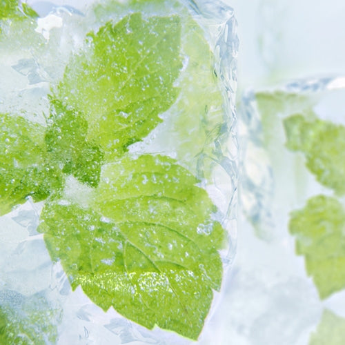 Green leaf frozen in ice with a close-up view