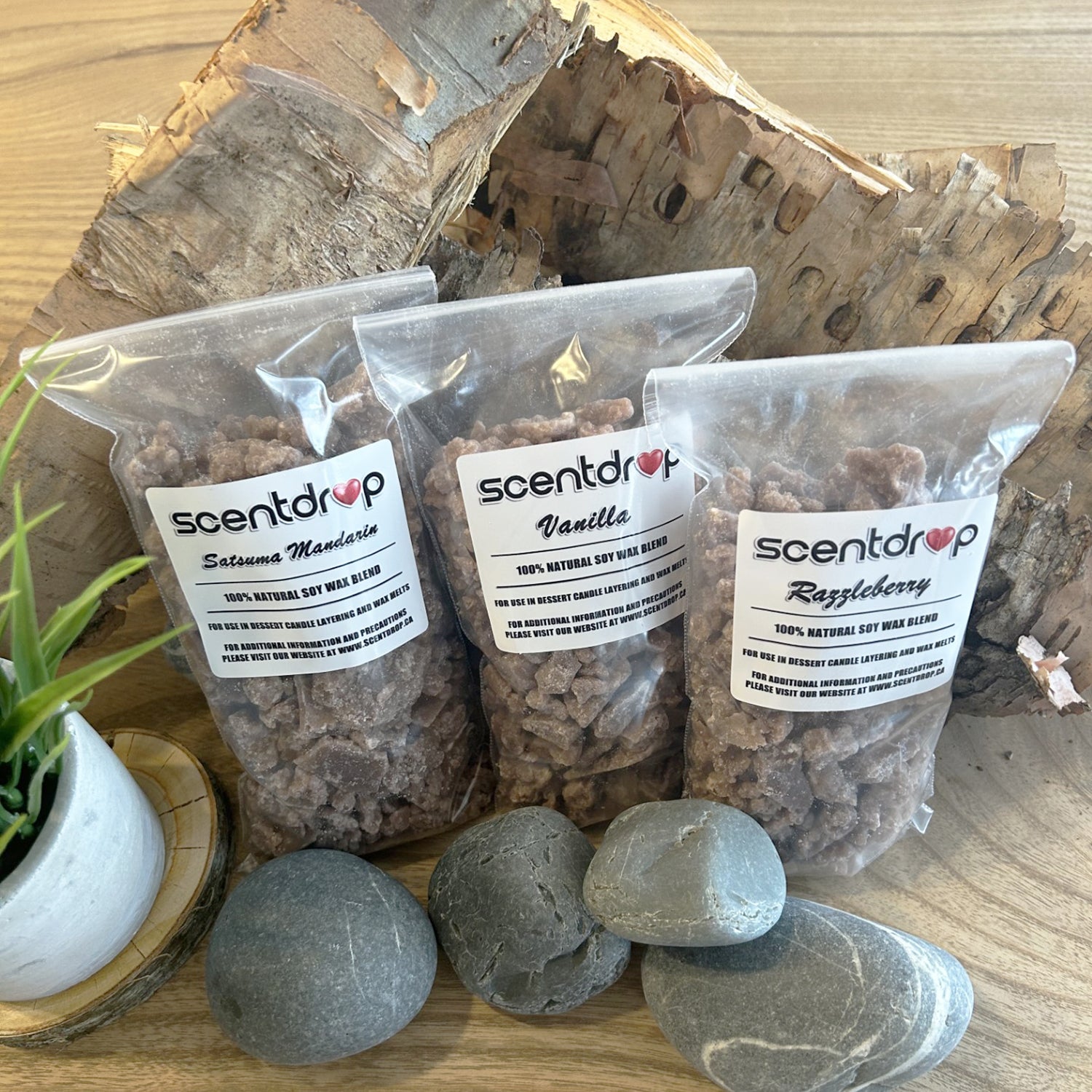 Three packages of Scentdrop wax melts on a wooden surface with rocks and a plant.