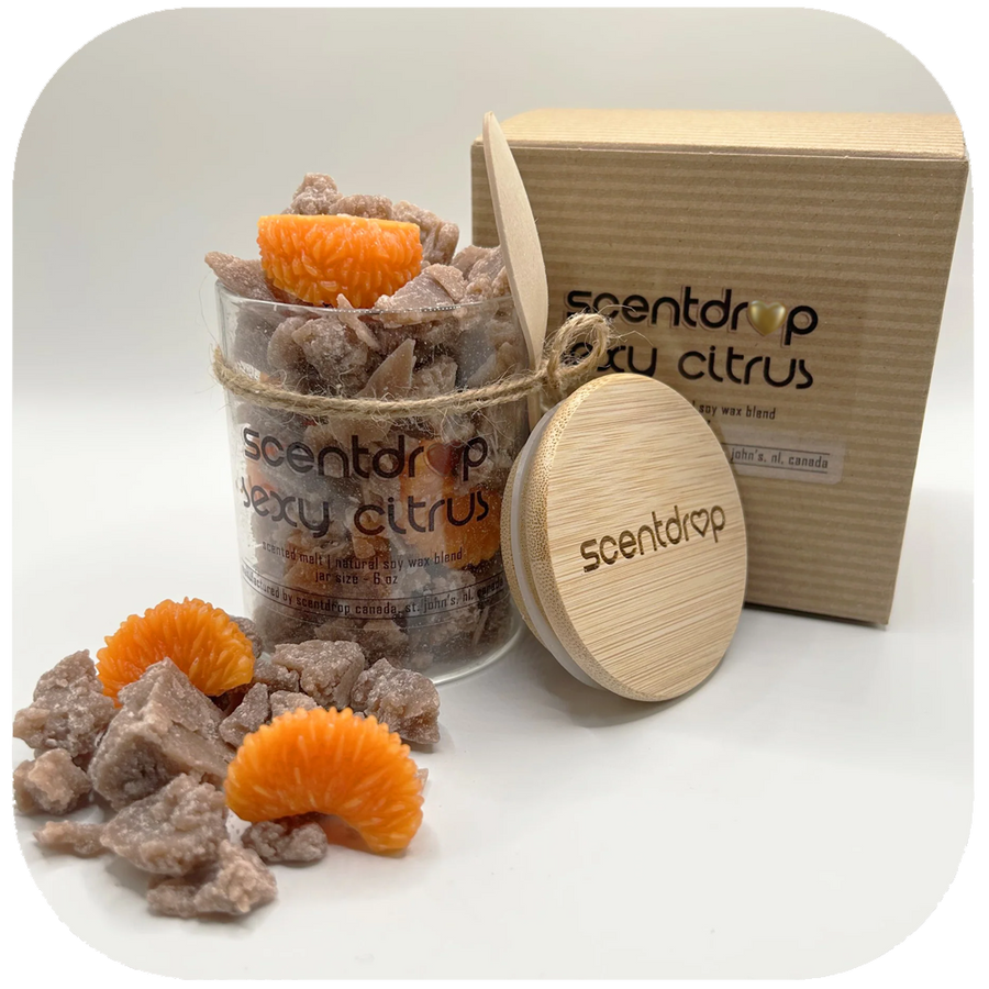 A scented wax melt product set on a white studio background, featuring a clear jar filled with beige wax melt pieces and bright orange citrus slices, a round bamboo lid stamped 'scentdrop', and a kraft paper box labeled 'scentdrop citrus'.