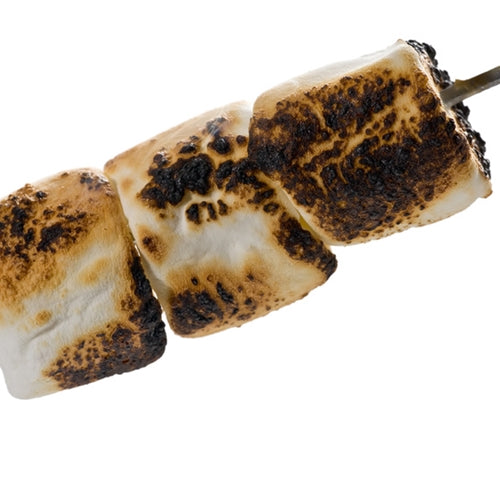 Two toasted marshmallows on a stick against a white background