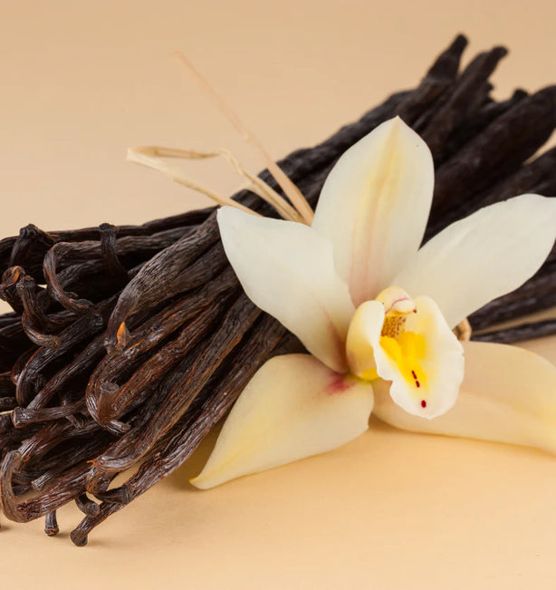 Vanilla beans and a vanilla flower on a beige background