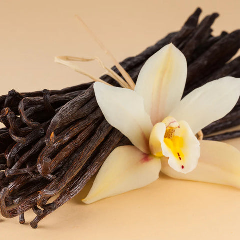 Vanilla beans and a vanilla flower on a beige background