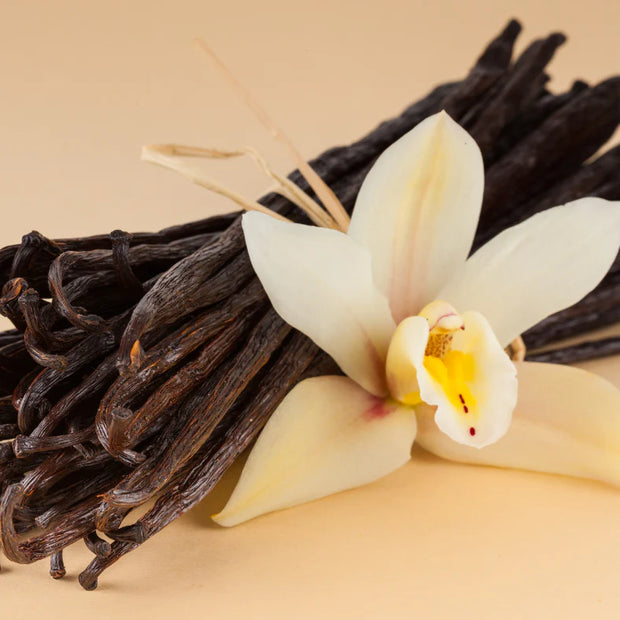 Vanilla beans and a vanilla flower on a beige background