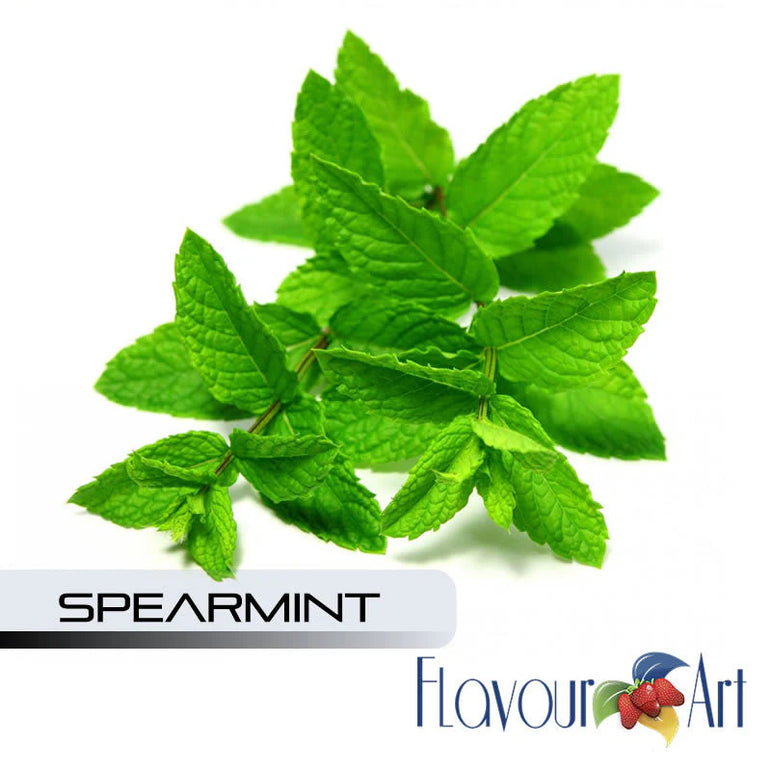 Spearmint leaves with 'Flavour Art' logo on a white background